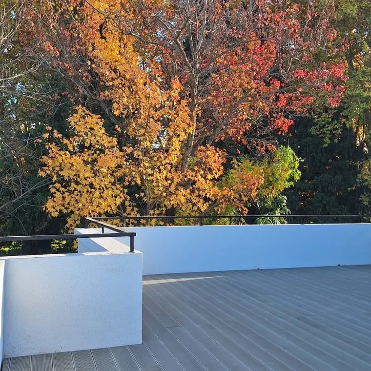 En otoño, desde la terraza: las copas de los árboles por encima del parapeto