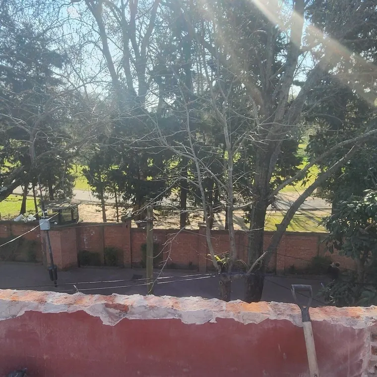 La vista al parque arbolado desde la obra, por encima del muro de ladrillo del fondo