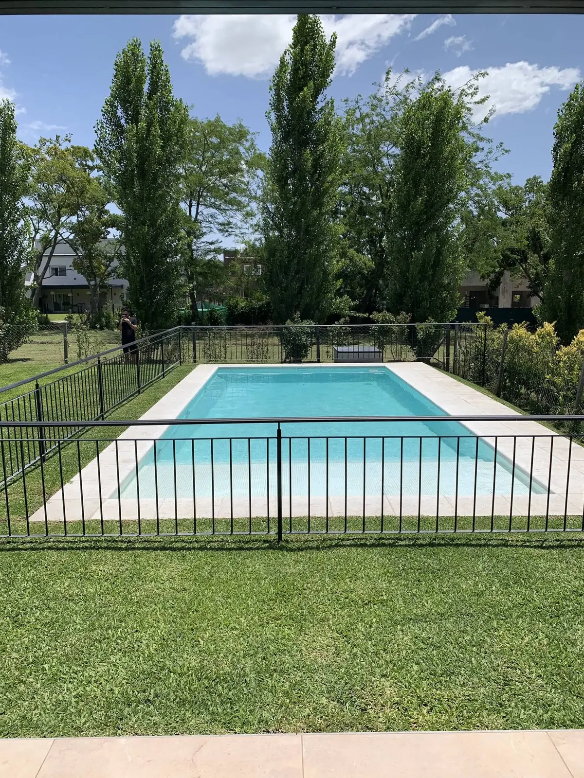 La pileta rectangular con su cerco de barrotes negros, entre el césped y los álamos